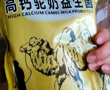 驼饮高钙驼奶益生菌是真的吗？