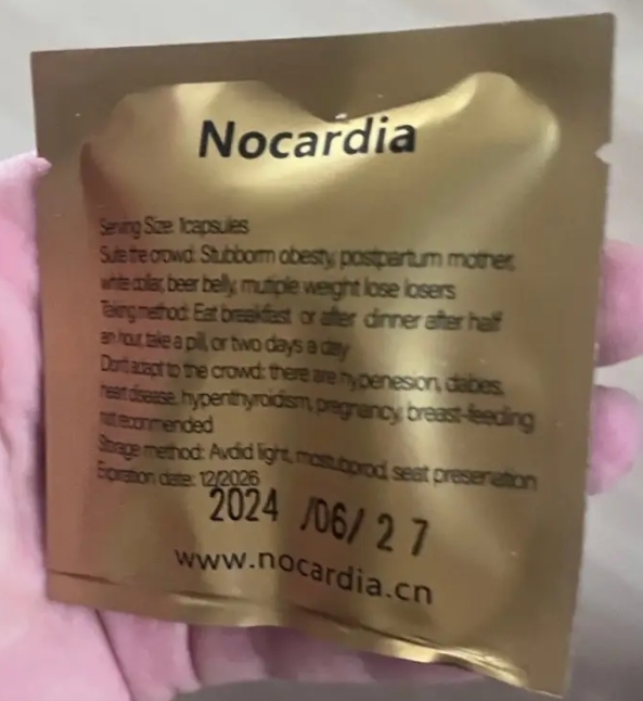 Nocardia胶原蛋白植物果蔬片燃脂瘦酵素果蔬片