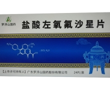 罗浮山国药盐酸左氧氟沙星片价格对比