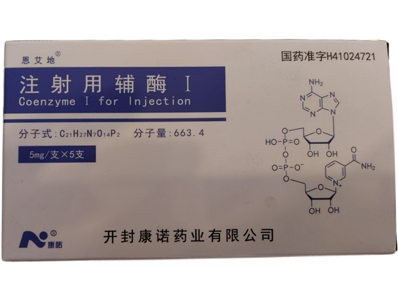 注射用辅酶Ⅰ