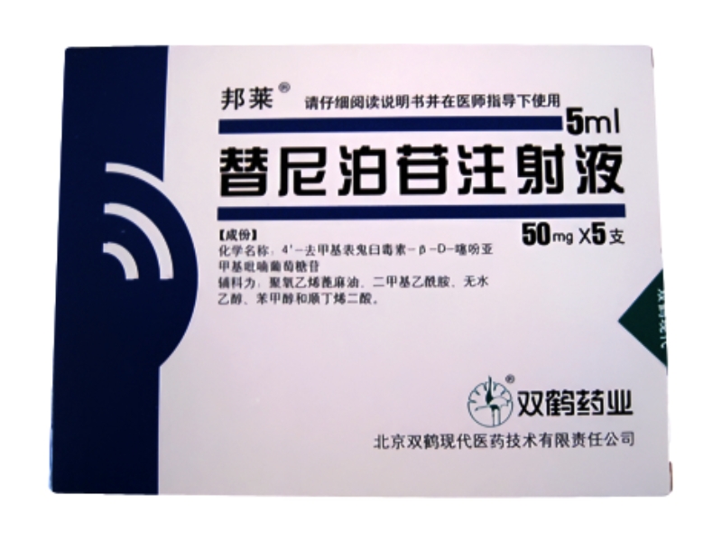 替尼泊苷注射液