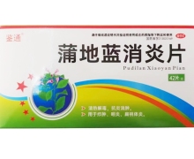 鉴通蒲地蓝消炎片价格对比 42片 大恩药业