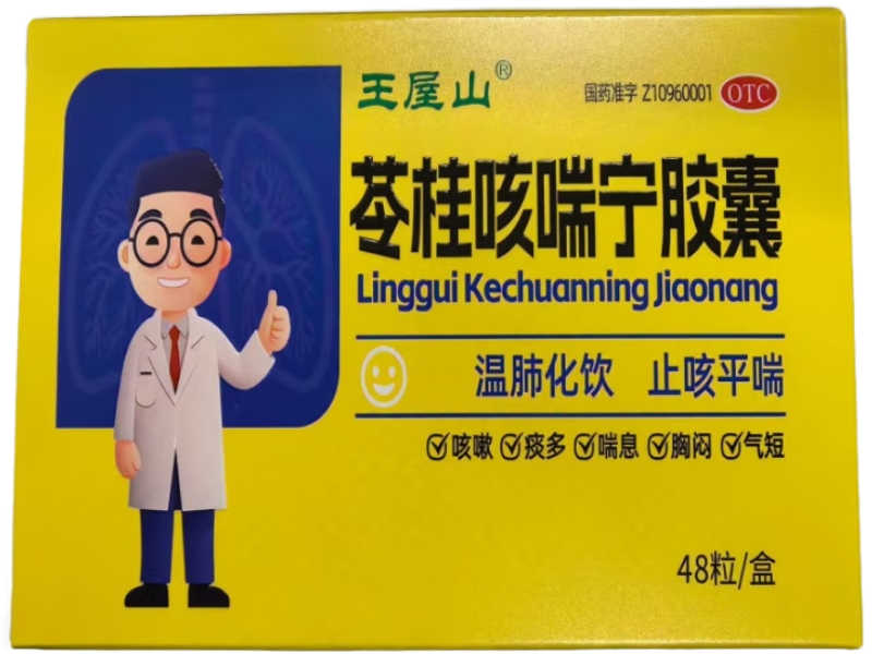 苓桂咳喘宁胶囊