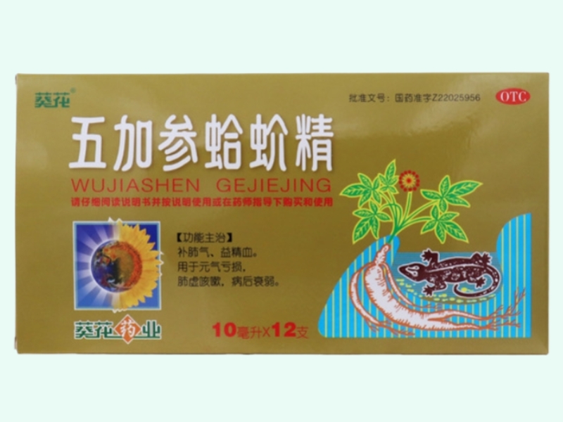 五加参蛤蚧精 