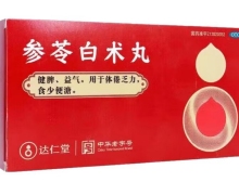 达仁堂参苓白术丸价格对比 10袋