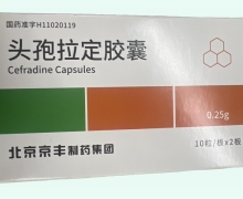头孢拉定胶囊价格对比 20粒 京丰制药