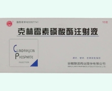 乐谊克林霉素磷酸酯注射液价格对比