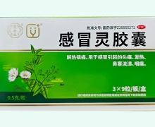 感冒灵胶囊价格对比 27粒 贵珍林