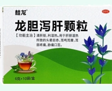龙胆泻肝颗粒价格对比 10袋 桂龙