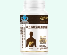 亿羚药业美达灵牌灵芝绞股蓝葛根胶囊价格对比