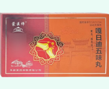 蒙医师嘎日迪五味丸价格对比 40粒