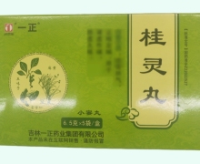 桂灵丸价格对比 5袋 一正药业