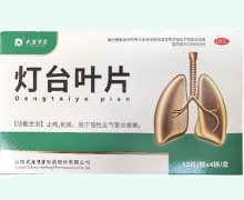 灯台叶片价格对比 48片 大唐汉方