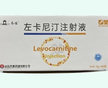 左卡尼汀注射液价格对比 1g*40支 齐佐
