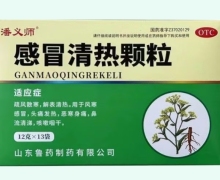 潘义师感冒清热颗粒价格对比 13袋