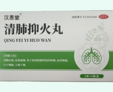 清肺抑火丸价格对比 6袋 汉恩堂