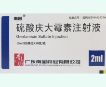 硫酸庆大霉素注射液价格对比 2ml:8万单位*10支 广东南国药业