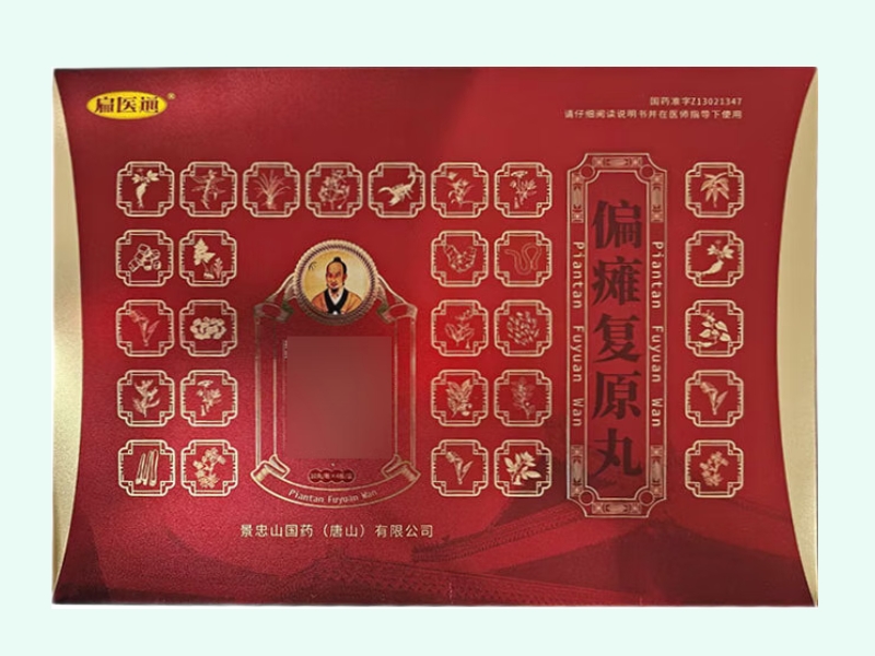 偏瘫复原丸