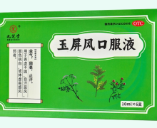 九芝堂玉屏风口服液价格对比 6支