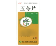 花溪五苓片价格对比