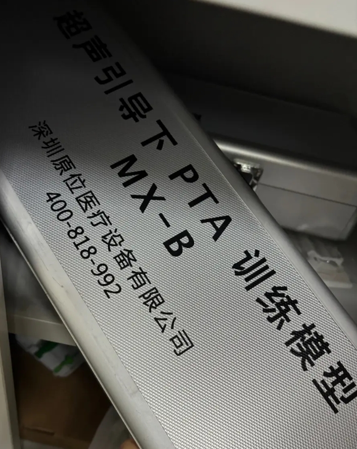 超声引导下PTA训练模型