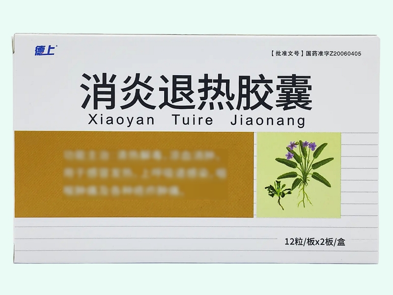 消炎退热胶囊
