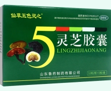 仙草五色灵之价格对比 灵芝胶囊