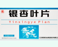 银杏叶片价格对比 24片 江苏晨牌