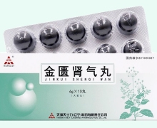 天士力金匮肾气丸价格对比