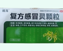 桂龙复方感冒灵颗粒价格对比 19袋