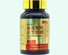 益元集牌灵芝胶囊价格对比