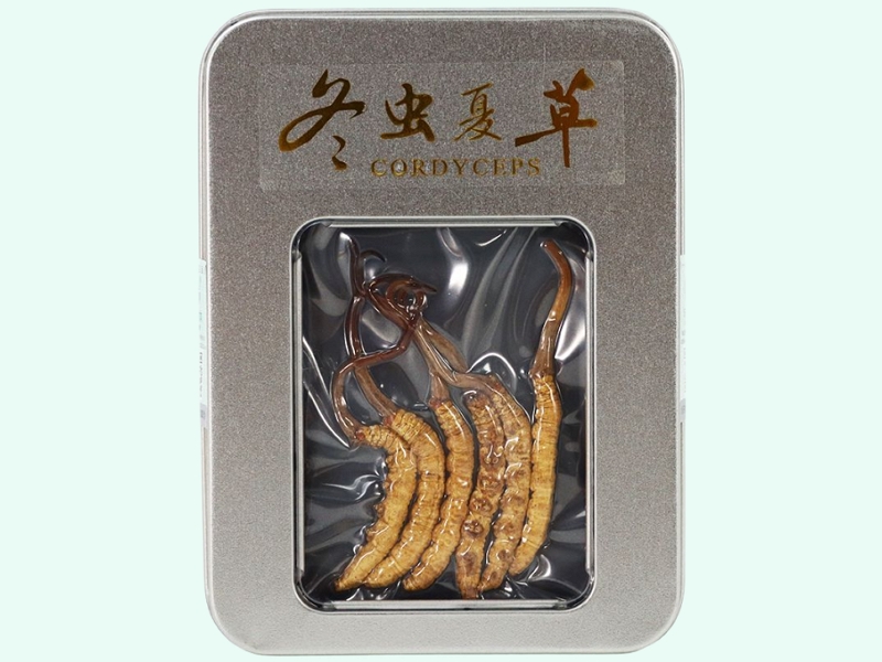 冬虫夏草
