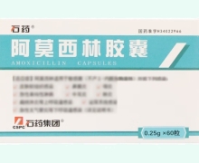 石药阿莫西林胶囊价格对比 60粒 金芙蓉药业
