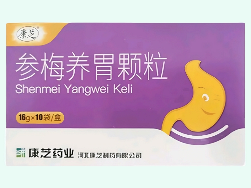 参梅养胃颗粒