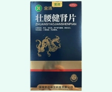 金活壮腰健肾片价格对比