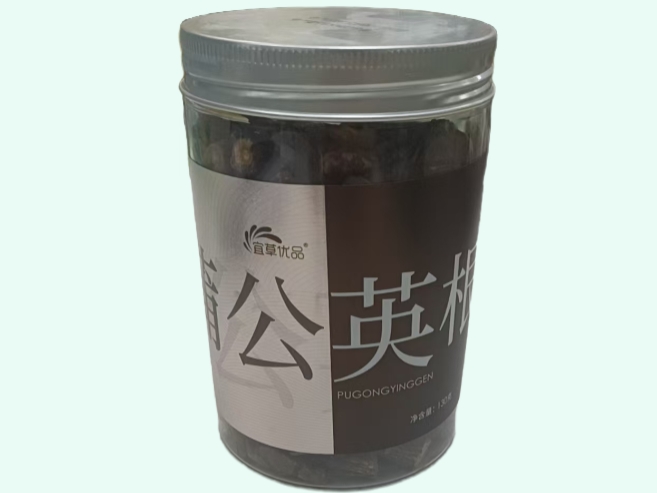 蒲公英根