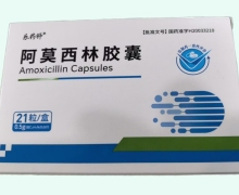 乐药师阿莫西林胶囊价格对比 21粒