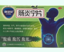 肠炎宁片(康恩贝)价格对比 24片