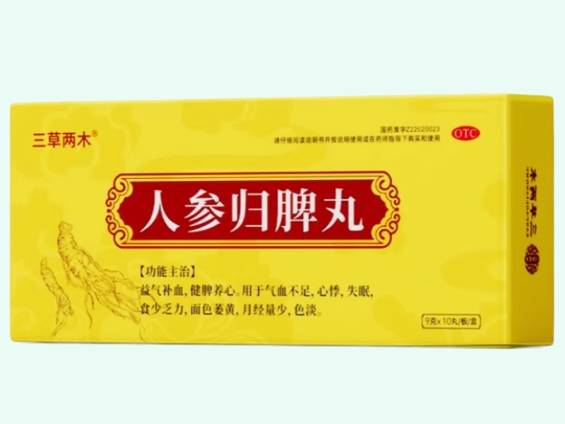 人参归脾丸