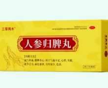 三草两木人参归脾丸价格对比 10丸