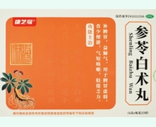 康芝岛参苓白术丸价格对比 20袋