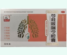 药王孙真人苓桂咳喘宁胶囊价格对比