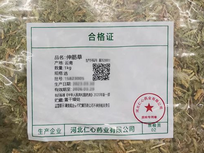 伸筋草