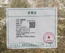 伸筋草价格对比 河北仁心药业