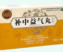 庚贤堂补中益气丸(水丸)价格对比 12袋