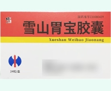 修正雪山胃宝胶囊价格对比 24粒