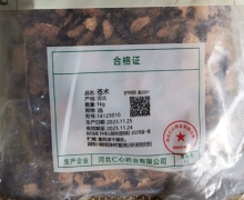苍术价格对比 河北仁心药业