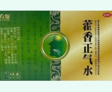 真心藿香正气水价格对比 6支
