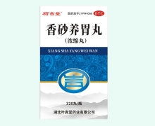 栢吉堂香砂养胃丸价格对比 320丸 叶真堂