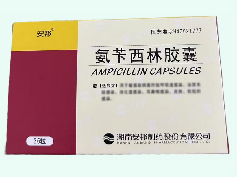 氨苄西林胶囊
